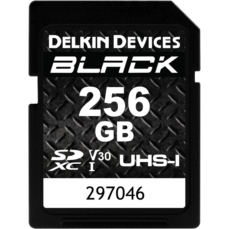 Delkin SD BLACK Rugged UHS-I (V30) R90/W90 256GB