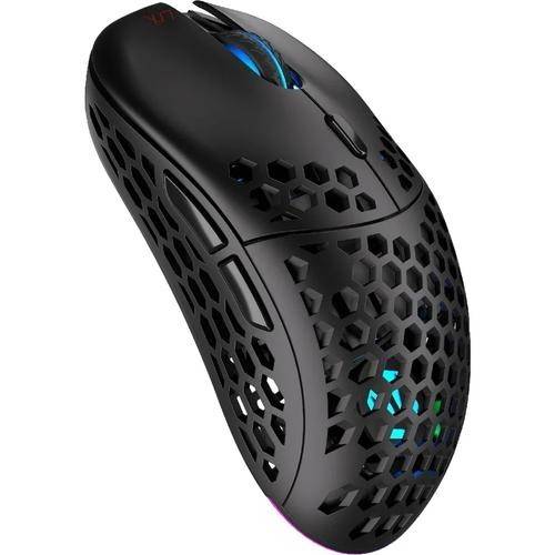 Mouse gaming optic Endorfy LIX Wireless, iluminare RGB, 16000 dpi (Negru)