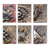 Caiet Design 3D arts, A5, 48 file, hârtie 80gr./mp, copertă carton 300gsm, pătrățele
