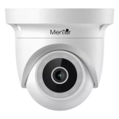 Camera de supraveghere Dome Smart Mentor SY089 WiFi IP65 4Mp