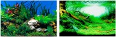 FERPLAST Decor foto pentru acvariu, cu 2 feţe, Verde