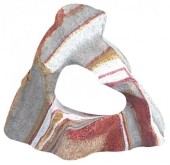 FLAMINGO Decoraţiuni pentru acvariu Piatră Curcubeu 1 gaură 12x7x10cm