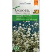 Floarea miresei, seminte de flori anuale, 1g