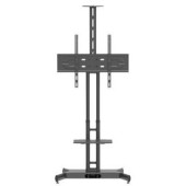 HP Twin Stand HD