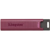 Kingston Stick USB Kingston Data Traveler Max, 256GB, USB 3.2