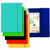 Mapa carton cu elastic Esselte Economy A4 150 coli