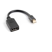 mini Displayport(M)-> Displayport(F)