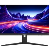MONITOR DAHUA 25