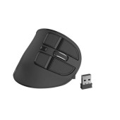 Mouse wireless Natec Euphonie, 2400 DPI, USB/Bluetooth (Negru)