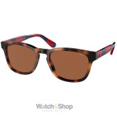 Ochelari de soare barbati Ralph Lauren PH4170-530373