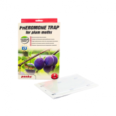 Panko capcana feromoni viermele prunului - sp