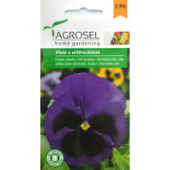 Panselute albastre, seminte de flori bienale, 0,25 g