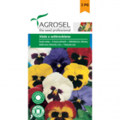 Panselute melanj, seminte de flori bienale, 0,25 g