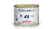 Royal Canin Recovery Dog Cat 195 g