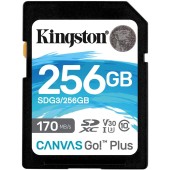 SD 256GB Canvas Go Plus