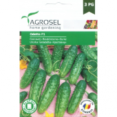 Seminte de castraveti Odette F1, 20 seminte