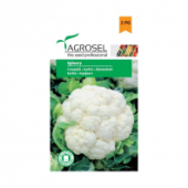 Seminte de conopida Igloory, 2 g