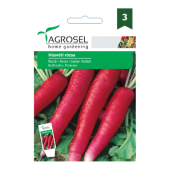 Seminte de ridichi Húsvéti Rózsa