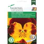 Seminte Pansele bordo si galben, 0,5 g