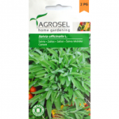 Seminte salvie, 2.5 g