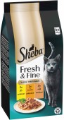 SHEBA Fresh&Fine plicuri Mini selecţii de Pui, Curcan si Raţă 6x50g