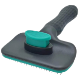 Tesala caini retractabila rara