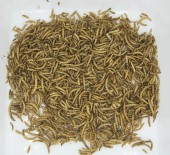 VITAPOL Vitaherbal Hrană suplimentară ptr rozătoare, cu Mealworms 70g