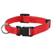 Zgarda chinga pentru caini