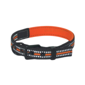 Zgarda chinga pentru caini NUNBELL