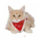 Zgarda cu esarfa, rosu, marime M-L