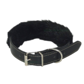 Zgarda pentru caini piele cu ornament puf 2,5x50 cm