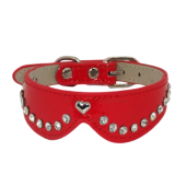 Zgarda pt caini cu guler si decorata cu strasuri 1,5x35 cm