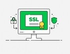 Certificate SSL